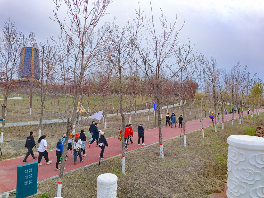 拥抱大自然·健康徒步行|Z6尊龙凯时物流春日团建