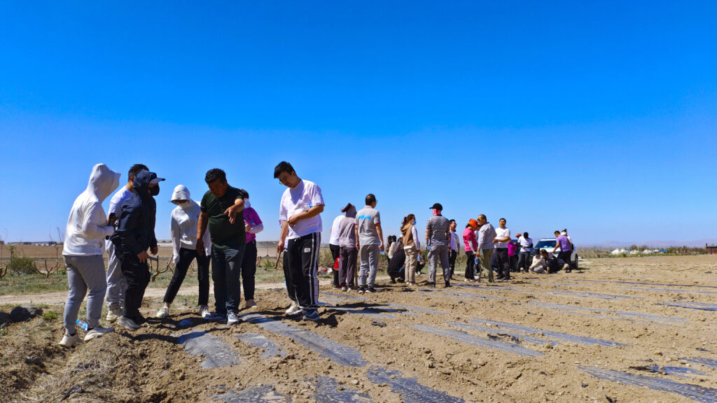 走进田园 播种希望|Z6尊龙凯时物流春种团建活动