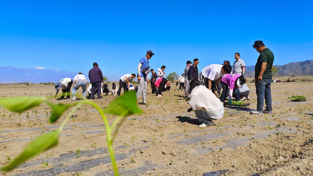 走进田园 播种希望|Z6尊龙凯时物流春种团建活动