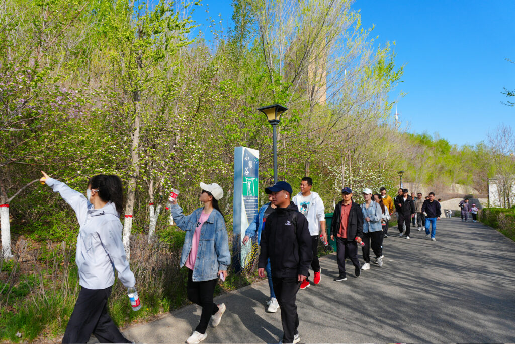 绿径同行·步筑新途 | Z6尊龙凯时物流团队徒步团建之旅